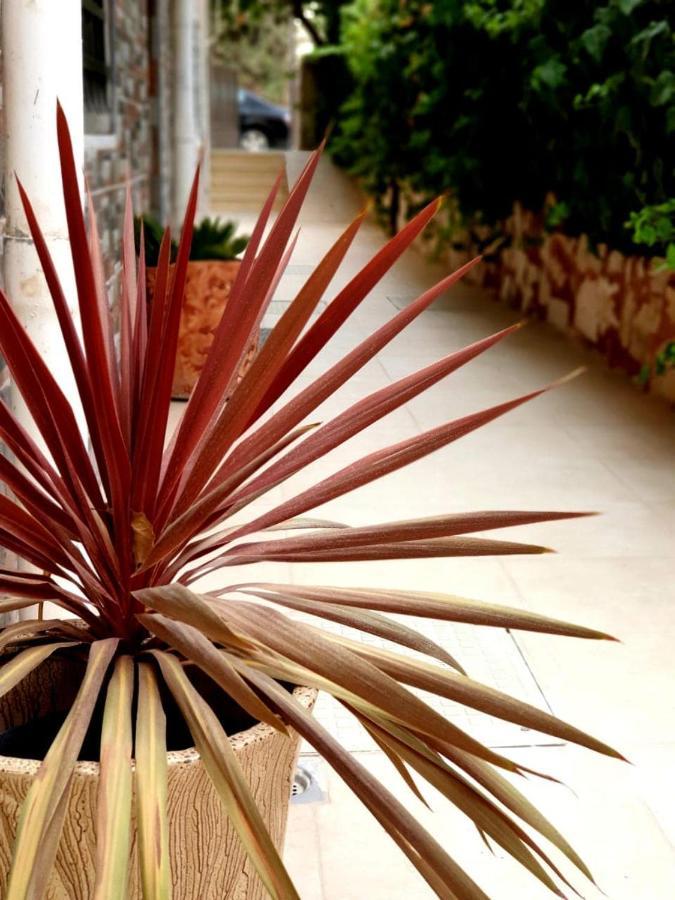 Tell Madaba Hotel Exterior photo